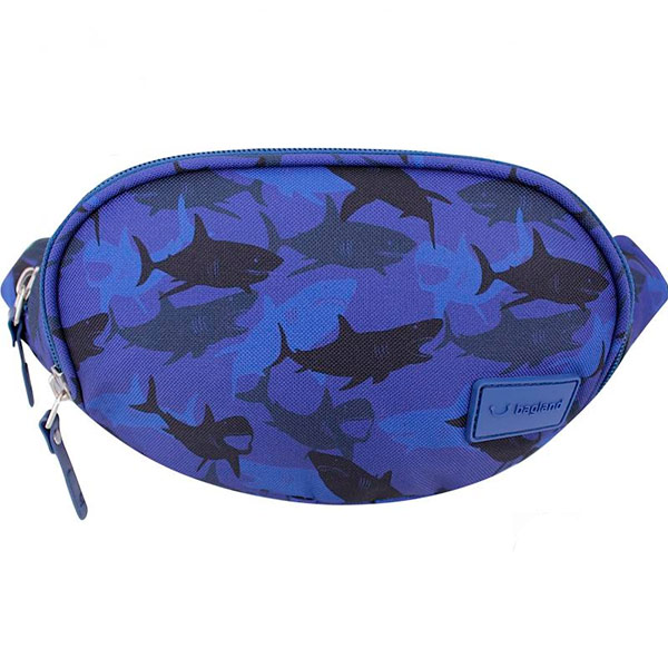 Поясні сумки