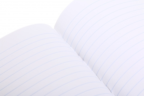 Тетрадь школьная 24 листа в линейку в ассортименте Мечты сбываются