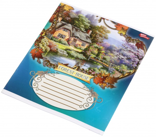 Тетрадь школьная с глитером 18 листов в линейку в ассортименте Мечты сбываются