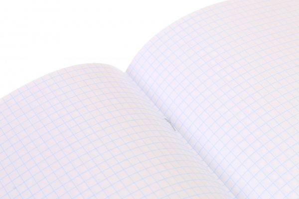 Зошит шкільний Anime скоба 48 аркушів в клітинку Мрії збуваються