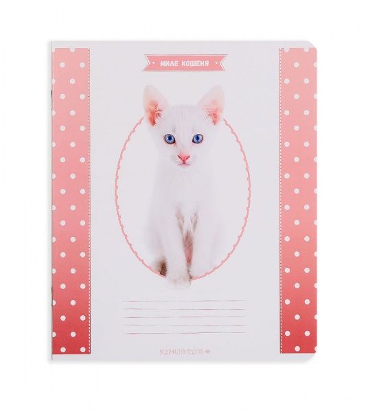 Комплект зошитів Миле кошеня 12 аркушів коса лінія 25 шт. Поділля