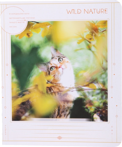 Тетрадь школьная 24 листа в линию УФ-лак в ассортименте