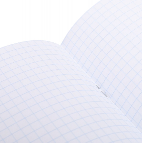 Тетрадь школьная Айвори серия 1 48 листов в клеточку Поділля