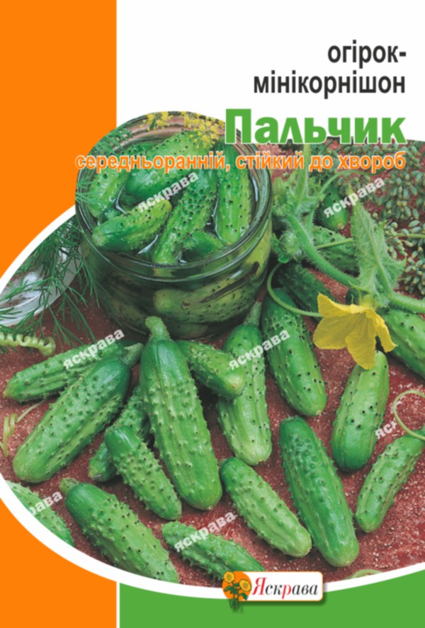 Семена Яскрава огурец Пальчик