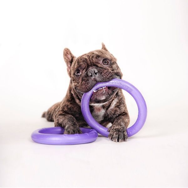 Снаряд тренувальний Puller Micro для собак 13 см