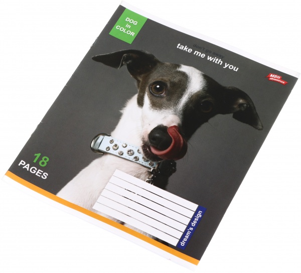 Тетрадь школьная 18 листов в линейку в ассортименте Мечты сбываются