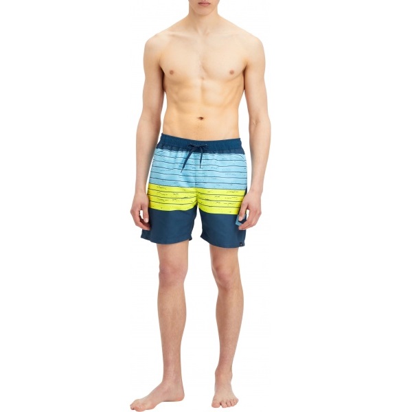 Шорты Firefly Kevin ux 302265-703 р. L зеленый с синим