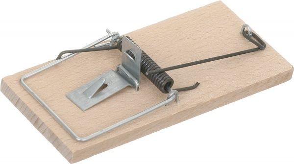 Мышеловка деревянная 100 x 45 мм