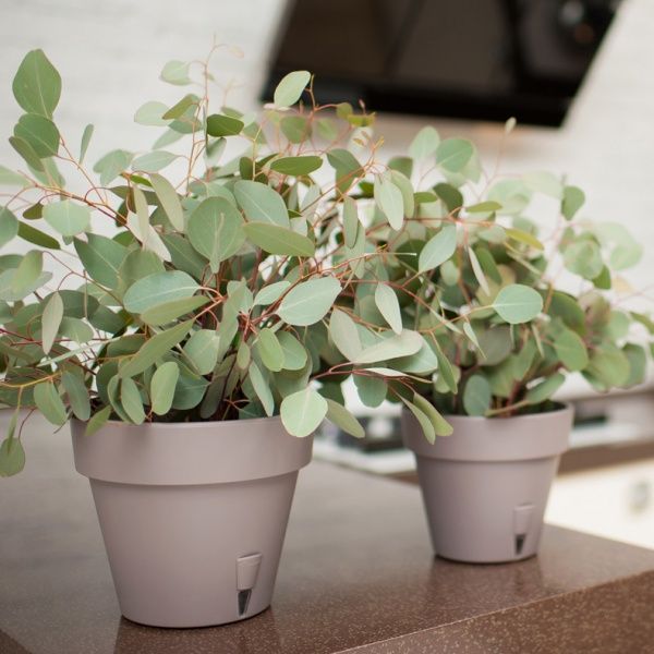 Вазон пластиковый Santino LATINA круглый 14,5л шаде 