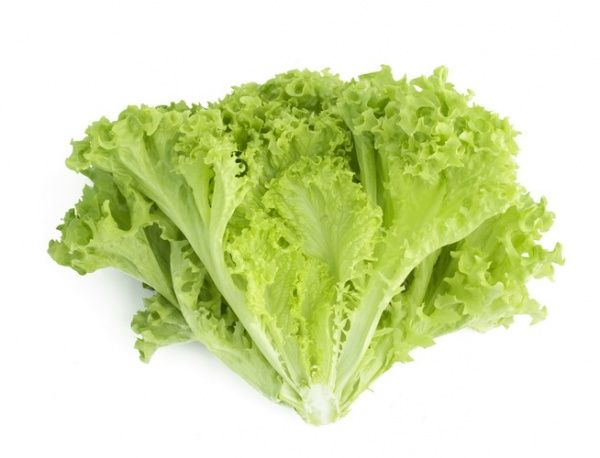 Семена Садовий Світ салат листовой Алеппо (Rijk Zwaan) 10 шт. (4823095601510)