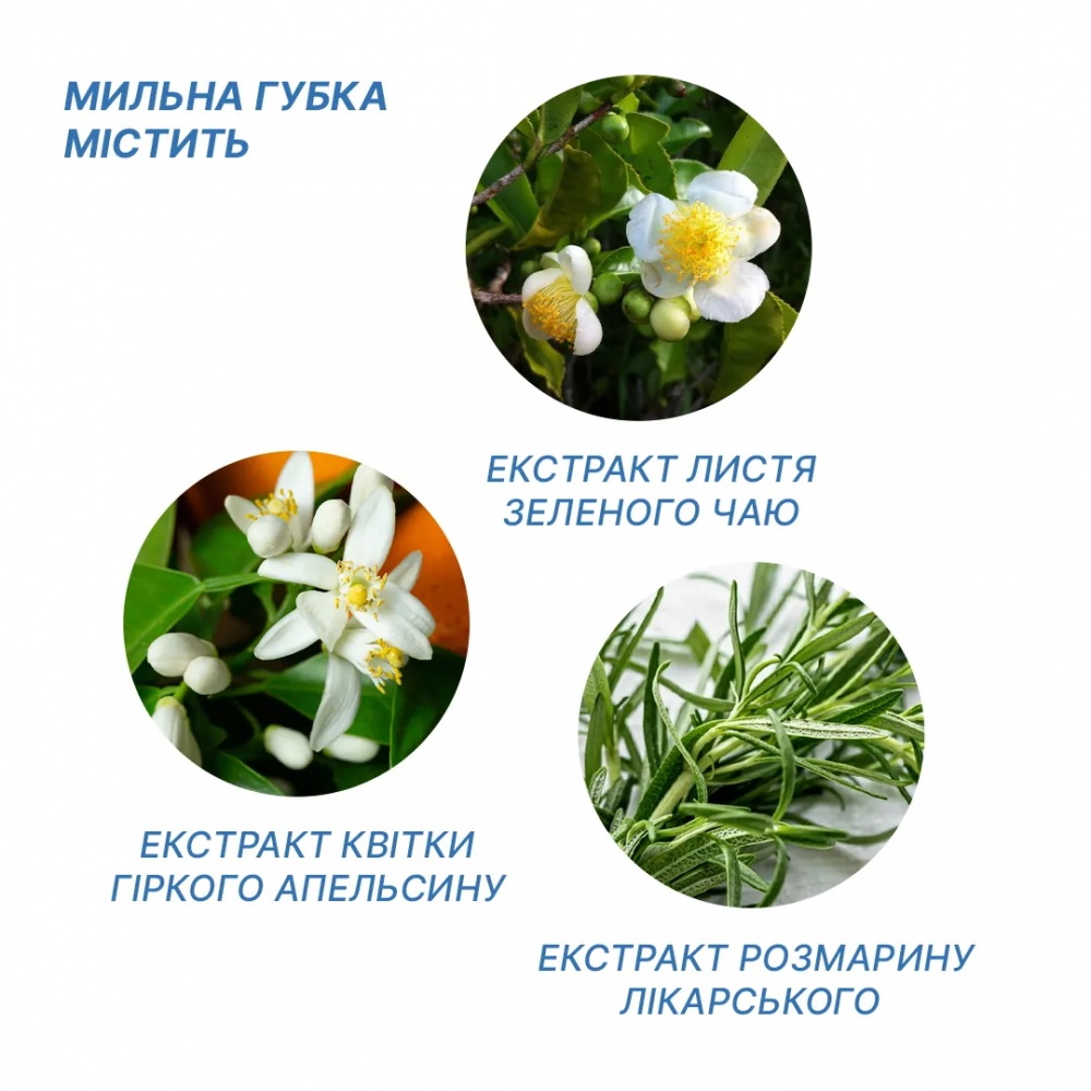 Душ сухой Estem одноразовый