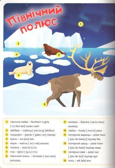 Книга «Наліпки Funny English. Північний полюс(+186 наліпок)»