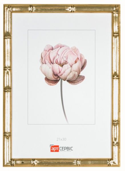 Рамка для фото Арт-Сервіс ЭА-01586 21х30 см золотий 