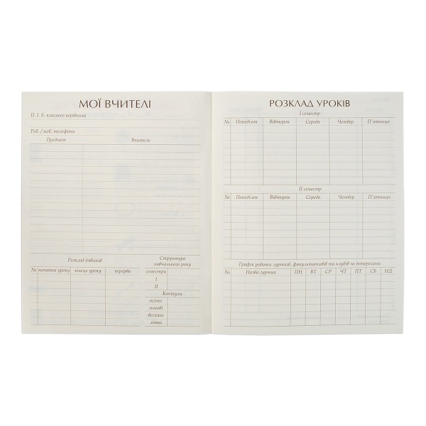 Дневник школьный Player иридиум 911231 YES