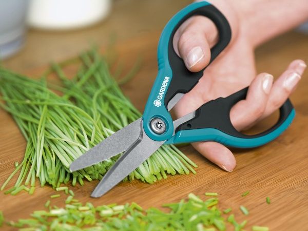 Ножницы для травы Gardena Schnipp Schnapp 8704-20