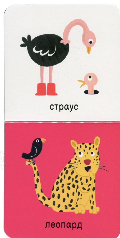 Книга «Мої тваринки» 978-617-09-8961-1