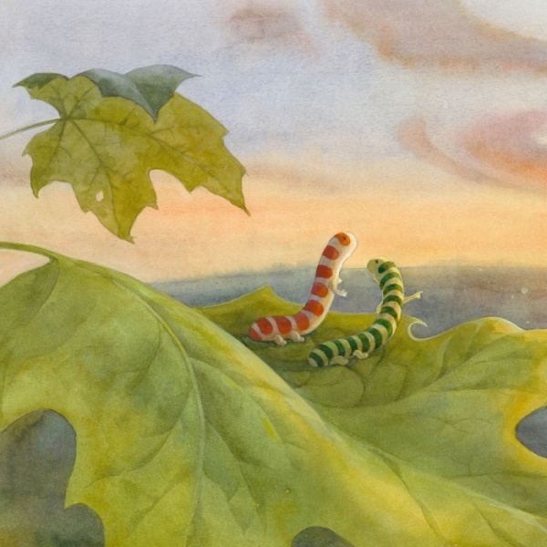 Книга Наталья Чуб «Два червячка» 978-617-09-3748-3