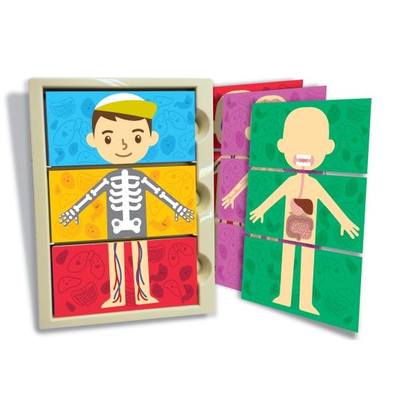 Навчальний ігровий набір 4М Моє тіло 888925