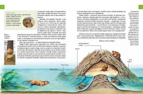 Книга «Тварини – винахідники і будівельники» 978-966-935-604-8