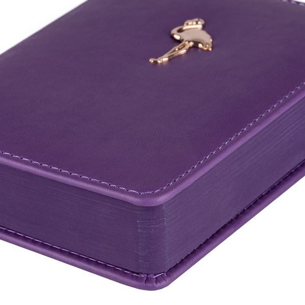 Щоденник недатований А6 Florenzo ожиновий YES