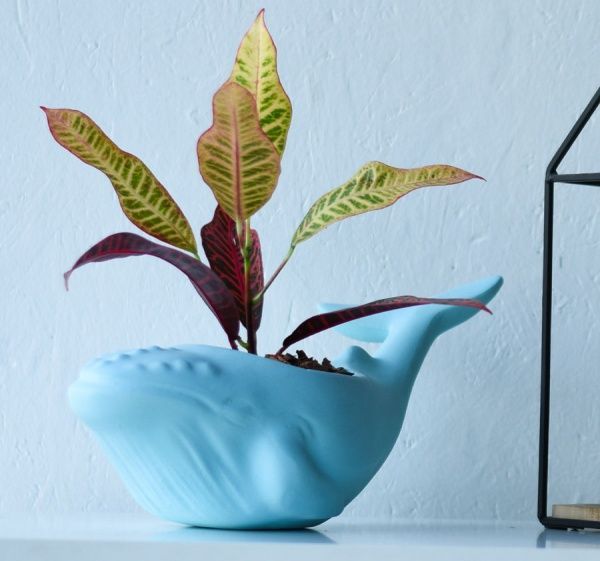 Кашпо Animal Land Кит блакитний Дон Пион