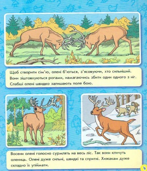 Книга-развивайка «Книжка. Энциклопедия в картинках: Животные леса» 978-966-746-381-6