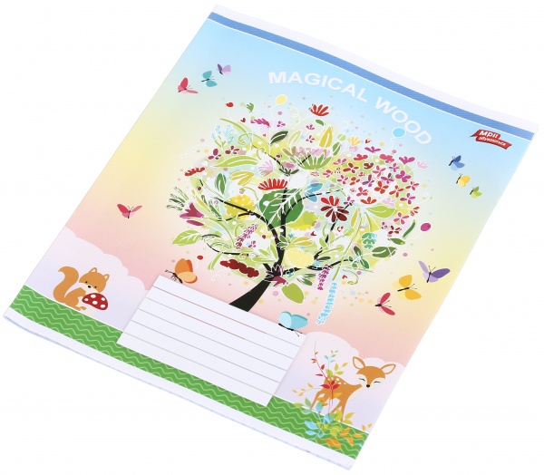 Тетрадь школьная 18 листов в клеточку в ассортименте Мечты сбываются