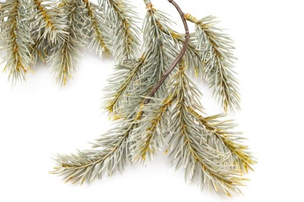 Декорация новогодняя Девилон Хвойная гирлянда 120х30х8 см, 170296 1,2