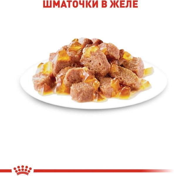 Корм Royal Canin Instinctive in gravy в желе 85 г
