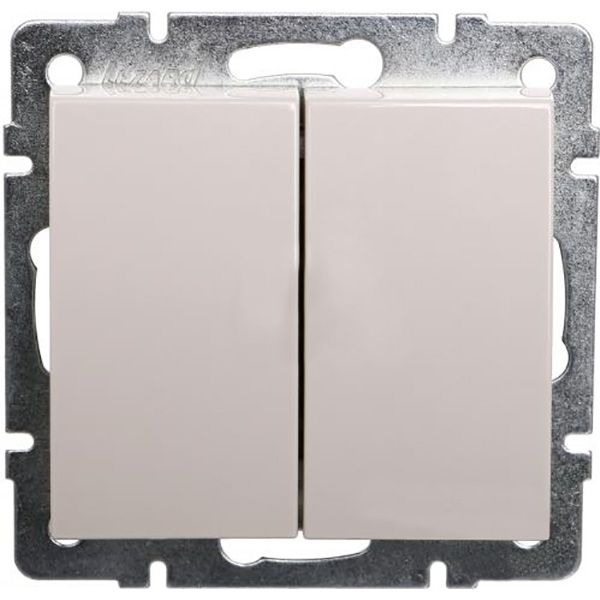 Вимикач двоклавішний Lezard Rain без підсвітки 220В крем 703-0388-101
