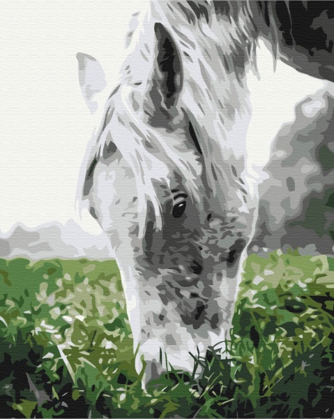 Картина за номерами Cіра конячка BS52443 40x50 см Brushme 