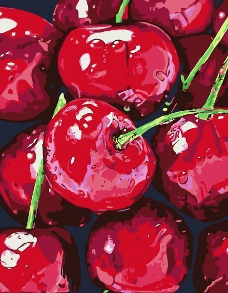 Картина по номерам Натюрморт. Вишни 35x45 см Rosa Start 