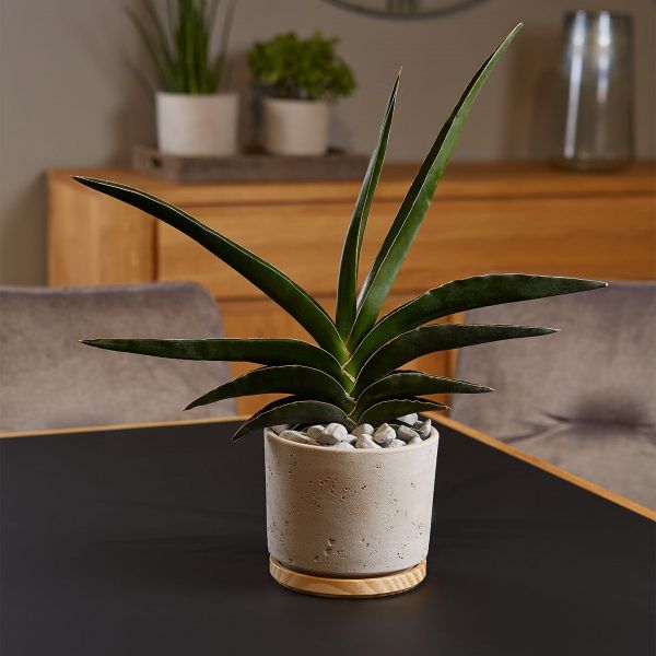 Кашпо Soendgen Keramik Paros Deluxe круглий 7 л сірий (1551-0023-2120) 