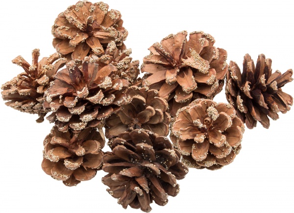 Набор для новогодней композиции Шишки 10 шт./уп. 