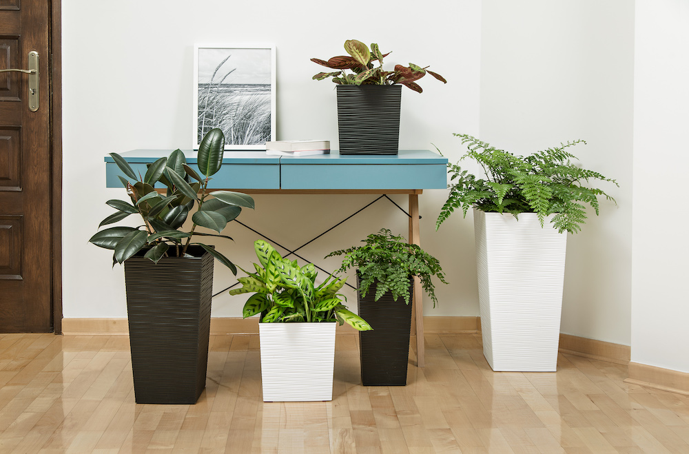 Вазон пластик Finezja DLUTO 25х25х47 см квадратный белый матовый 11 л Lamela (9055890)