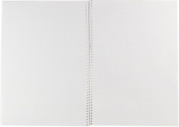 Блокнот А4 80 л. клетка WB2 Economix