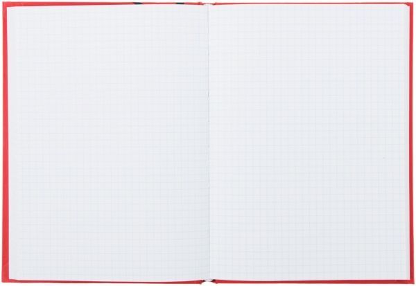 Блокнот Angry Birds А5 80 л. AB03270 Cool For School