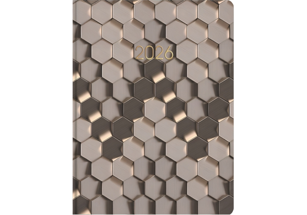 Дневник датированный Голди Economix A5 2026