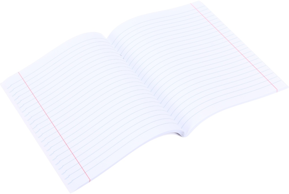 Зошит 96 аркушів у лінію (2252547045015) Nota Bene