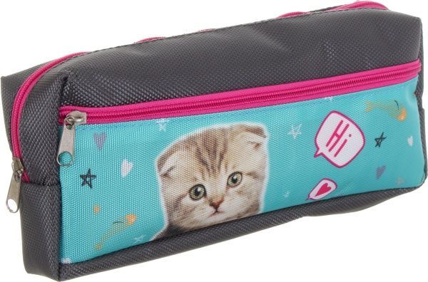 Пенал школьный на два отделения Котик, привет серый
