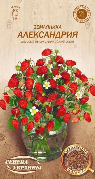 Семена Семена Украины земляника Александрия 660000 0,1 г