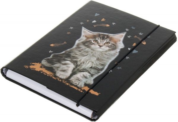Папка для зошитів папка для зошитів на резинці Curious Cat, 200х250 мм, PP-покриття