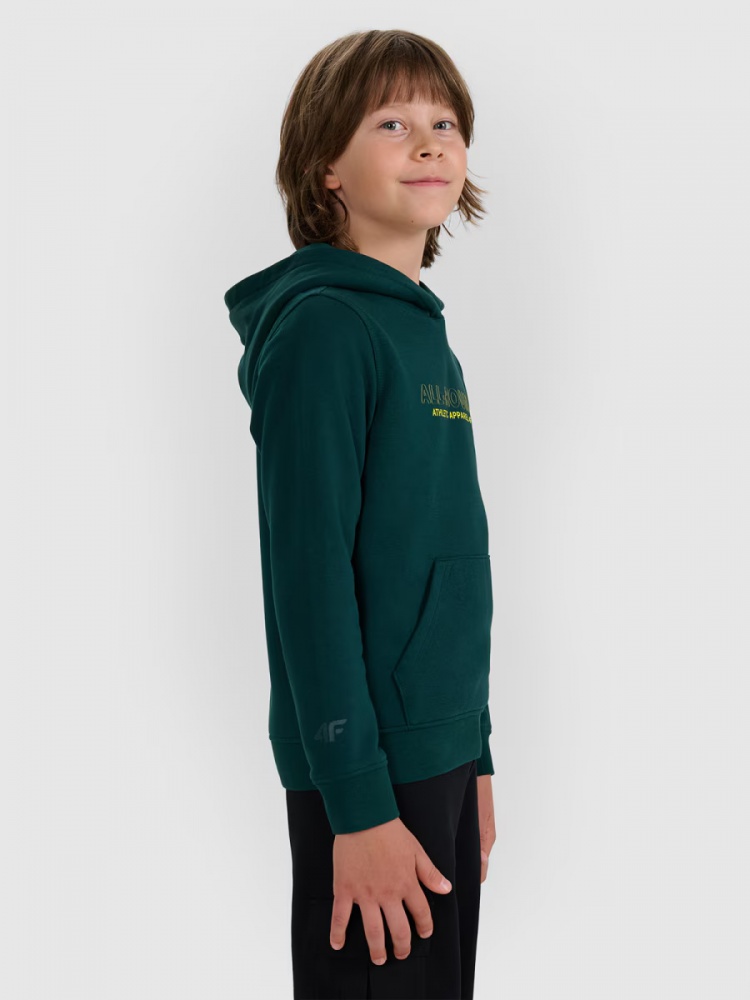 Джемпер 4F SWEATSHIRT M1959 4FJWAW25TSWSM1959-46S р.146 зеленый