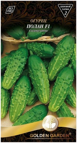 Насіння Golden Garden огірок Полан F1 0,5г