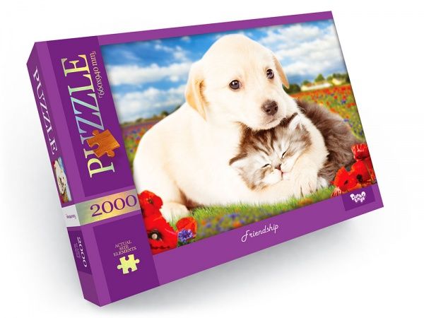 Пазли Danko Toys 2000 ел. с.1 №9 Friendship С2000-01-09