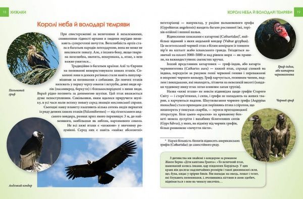 Книга «Хижаки» 978-966-935-587-4