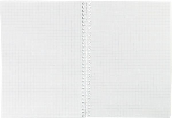 Блокнот А5 80 л E20318-99 Economix