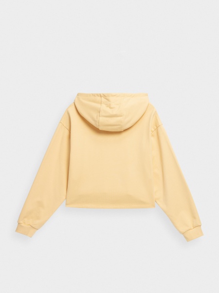 Джемпер 4F 4FSS23TSWSF244-73S р. M зелений