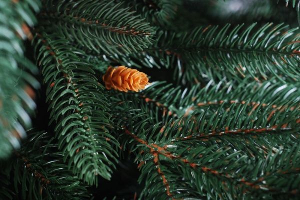 Елка искусственная Мэри 2.5 м литая зеленый 