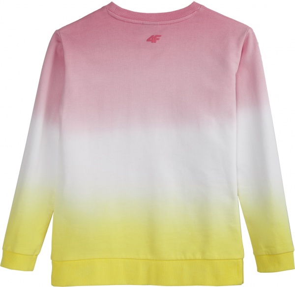 Світшот 4F J4L20-JBLD210-90S р. 146 різнокольоровий